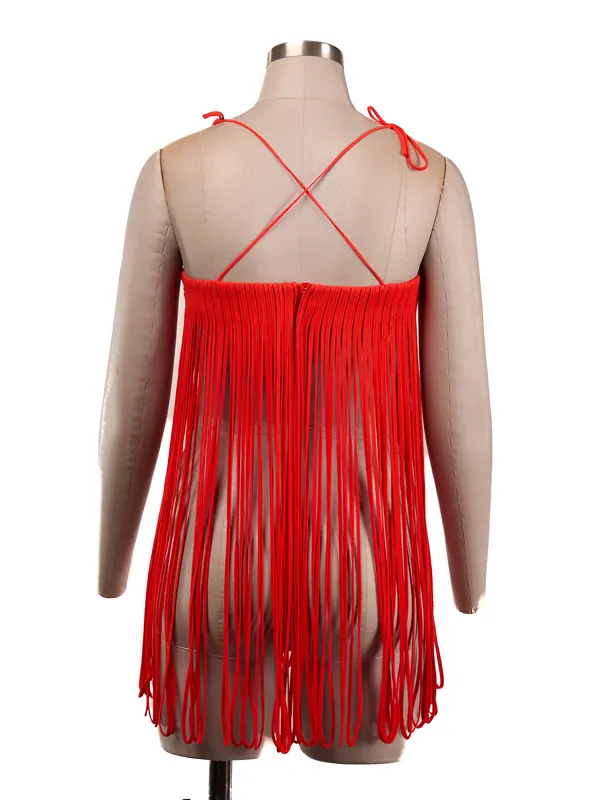 Scarlet Fringe Mini Dress — back view