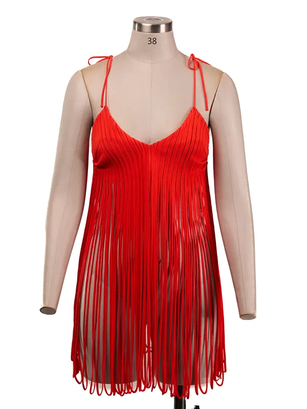 Scarlet Fringe Mini Dress — front view