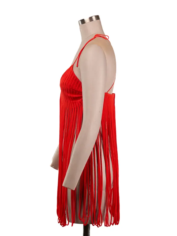 Scarlet Fringe Mini Dress — side view