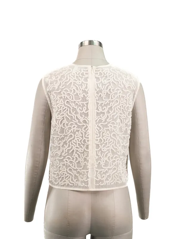 Ivory Beaded Mesh Crop Top — back view